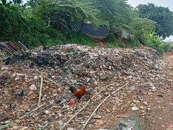 Pemilik TPA Ilegal di Pondok Cabe Udik Belum Bersihkan Sampah