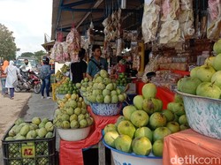 Mangga Jadi Primadona Pemburu Oleh-oleh di Indramayu