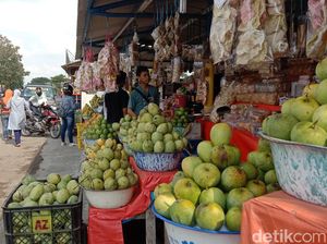 Mangga Jadi Primadona Pemburu Oleh-oleh di Indramayu Mangga Jadi Primadona Pemburu Oleh-oleh di Indramayu