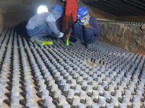 PLTU Jeranjang Bermasalah, Listrik di Lombok Bakal Padam Bergilir