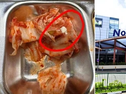 Jijik! Pelanggan Temukan Telur Lalat Pada Kimchi di Restoran