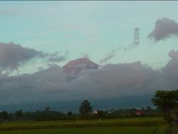 Muntahkan Lava Pijar Sejauh 2 Km, Semeru Terekam Alami 24 Kali Letusan