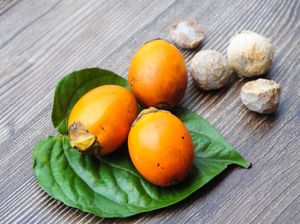 5 Tanaman ini Bisa Ubah Kondisi Pikiran, Seberbahaya Apa? 5 Tanaman ini Bisa Ubah Kondisi Pikiran, Seberbahaya Apa?