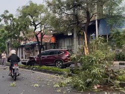 Mobil Tabrak Pohon di Pulogadung hingga Pindah ke Jalur Seberang