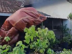 Bahayanya Balon Udara Bisa Ganggu Penerbangan hingga Picu Ledakan Bahayanya Balon Udara Bisa Ganggu Penerbangan hingga Picu Ledakan