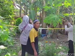 Warga Pangkah Tegal Tega Habisi Ibu Kandung, Mayat Dikubur di Pekarangan