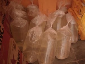 Polisi Sita 500 Liter Miras Cap Tikus di Gorontalo, Penjual-Kurir Diamankan