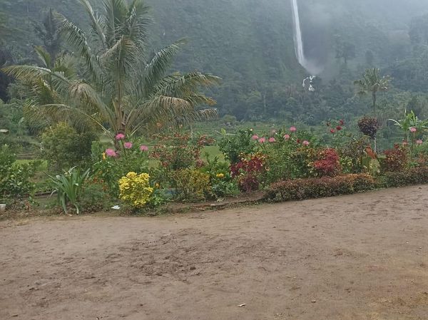 Penampakan Before After Rumah Surga Cianjur, Dulu Hijau Kini Rusak