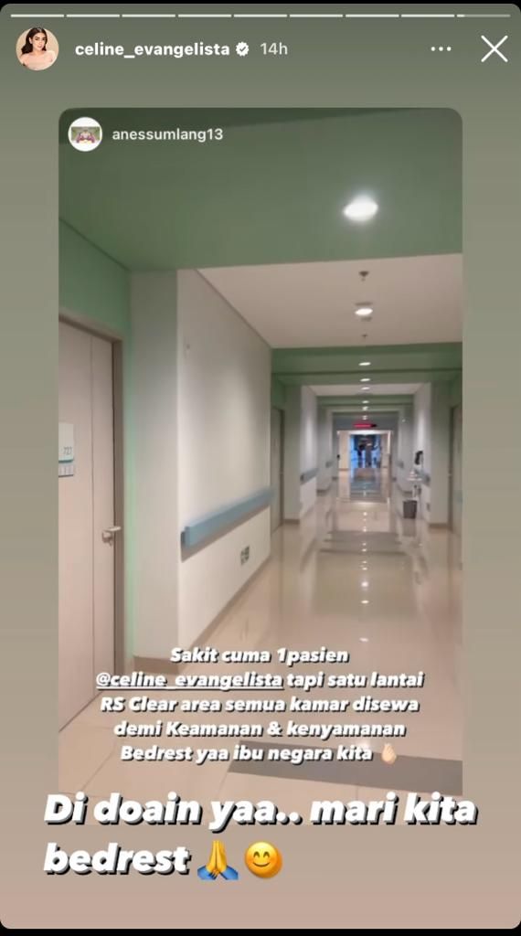 Instagram Story Celine Evangelista