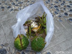 Rumah Ortu Ken Admiral Diteror OTK, Dilempari Jeruk Purut hingga Kembang