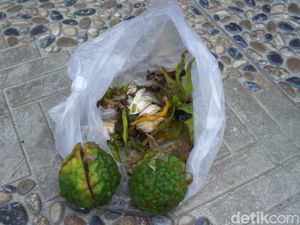 Rumah Ortu Ken Admiral Diteror OTK, Dilempari Jeruk Purut hingga Kembang Rumah Ortu Ken Admiral Diteror OTK, Dilempari Jeruk Purut hingga Kembang