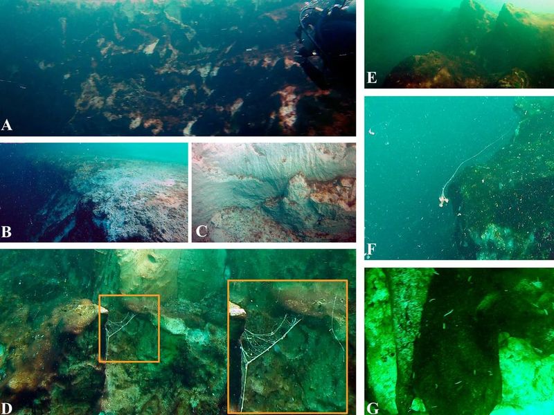 Lubang Biru Raksasa di Laut Meksiko