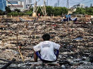 Potret Terkini Permukiman di Muara Angke yang Ludes Terbakar