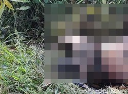 Terkuaknya Misteri Identitas Mayat Perempuan Dibakar di Bangkalan