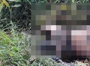 Ditemukan Luka Jeratan di Leher Mayat Perempuan Dibakar di Bangkalan Ditemukan Luka Jeratan di Leher Mayat Perempuan Dibakar di Bangkalan