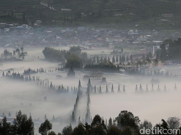 Potret Embun Es Selimuti Kawasan Candi Arjuna Dieng Pagi Ini
