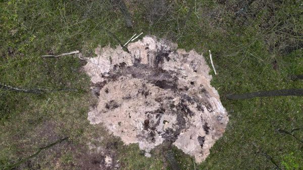 Puing Objek Militer Misterius Ditemukan di Hutan Polandia