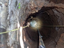 Suara Anjing Misterius Bikin Warga Ciamis Resah, Ternyata Ini Faktanya