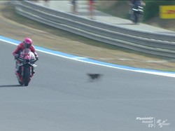 Detik-detik Aleix Espargaro Nyaris Tabrak Kucing di MotoGP Spanyol