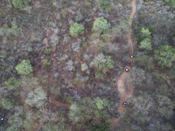 Cuaca Panas Bikin Hutan Kota di Palu Mengering