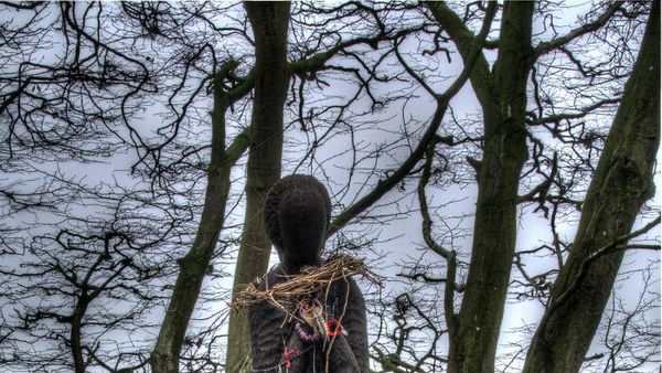 Kumpulan Hutan di Dunia Menyeramkan dan Penuh Misteri