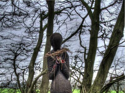 Kumpulan Hutan di Dunia Menyeramkan dan Penuh Misteri