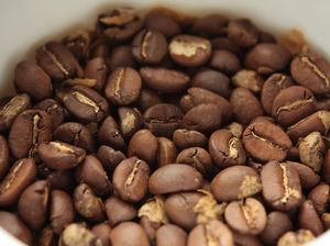 Menjawab Pertanyaan Bisakah Biji Kopi Dimakan?