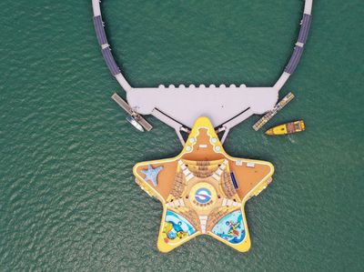 Lihat Lebih Dekat Bintang Laut Raksasa di China