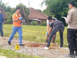 Petaka Petasan Maut di Pekalongan Tewaskan 1 Anak, Lukai 5 Lainnya