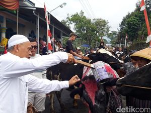 Bakdo Sapi di Sruni Boyolali Kini Lebih Meriah, Ada 2 Arak-arakan Bakdo Sapi di Sruni Boyolali Kini Lebih Meriah, Ada 2 Arak-arakan