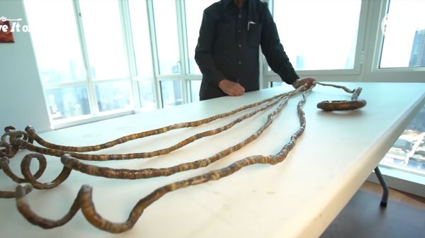 Penampakan Rekor Kuku Terpanjang di Dunia, Nyaris 10 Meter!