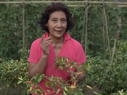 ASN Guru di Pangandaran Mundur karena Pungli, Susi Pudjiastuti Lapor ke Bupati