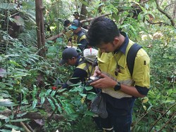Berdayakan Ekonomi Warga, Pembangunan 5 Desa di Banyuwangi Lebih Maju