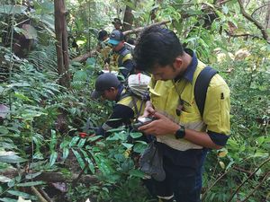 Berdayakan Ekonomi Warga, Pembangunan 5 Desa di Banyuwangi Lebih Maju Berdayakan Ekonomi Warga, Pembangunan 5 Desa di Banyuwangi Lebih Maju