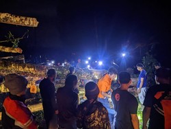 Pura Luhur Mekori Hancur Tertimpa Pohon Raksasa Berusia Ratusan Tahun