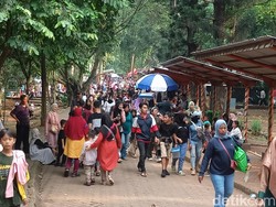 Membeludak Pengunjung Ragunan di Penghujung Libur Lebaran