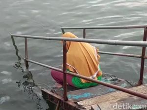Fenomena Ubur-ubur Serbu Perairan Probolinggo Jadi Tontonan Warga Fenomena Ubur-ubur Serbu Perairan Probolinggo Jadi Tontonan Warga