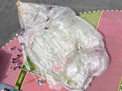 Gede Banget! Ini Penampakan Balon Udara yang Rencananya Dipasangi Petasan