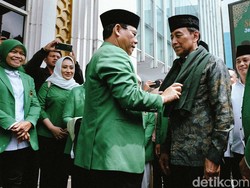 Ketum PPP Tegaskan Pertemuan dengan Wiranto Tak Bahas Cawapres