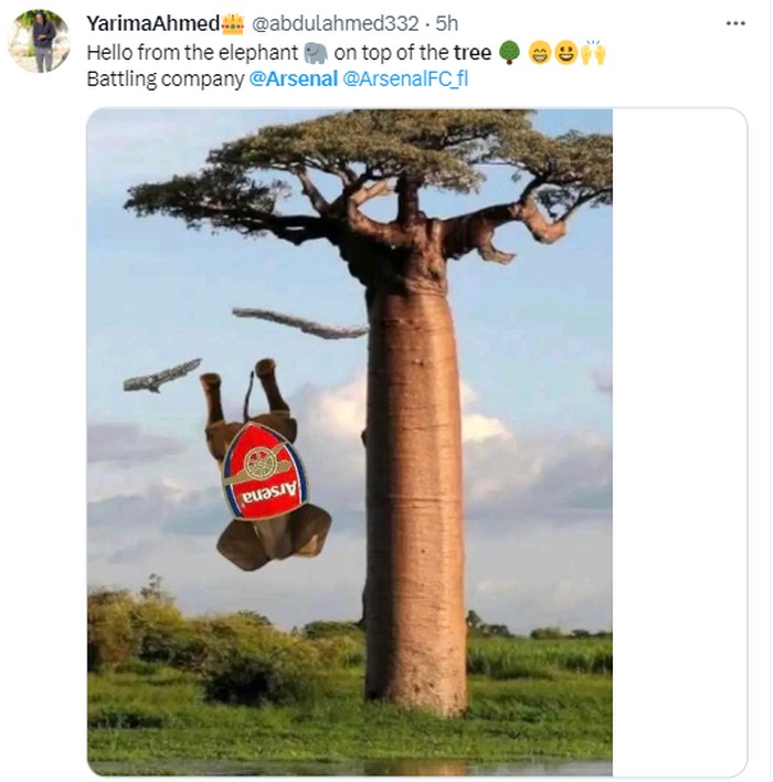 Meme Arsenal Meme kocak Arsenal disama-samakan dengan gajah yang jatuh dari puncak pohon.