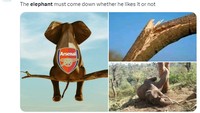 Mau tidak mau, suka tidak suka, sang gajah (Arsenal) mesti terjatuh dari puncak pohon (klasemen Premier League). (Foto: Twitter)