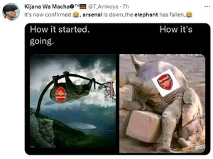 Meme Kocak Arsenal Sang Gajah Akhirnya Jatuh Juga dari Pohon