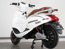 Moeldoko Minta Sosialisasi Subsidi Kendaraan Listrik Digeber