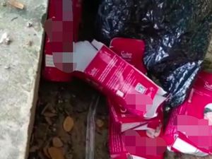 Duh! Bungkus Kondom dan Tisu Bekas Berceceran di Taman Veteran Bojonegoro