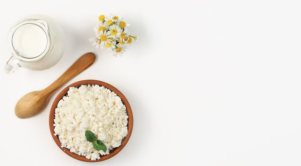 Ilustrasi keju cottage