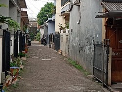 Isu Babi Ngepet Dipicu Kabar Duit Warga Hilang, Ternyata Anjing Liar