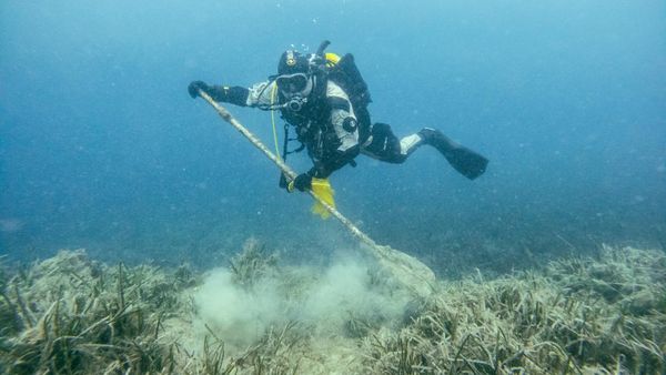 Aksi Penyelam Bersihkan Sampah di Laut Sekitar Pulau Mljet Kroasia