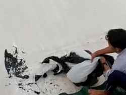 Balon Udara Nyangkut Rusak Membran Masjid Ar Rahman Blitar