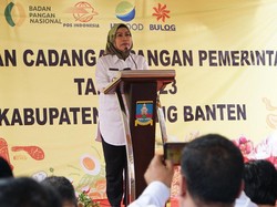 Tangani Stunting, Bupati Serang Salurkan Bantuan Pangan ke 7.421 Warga