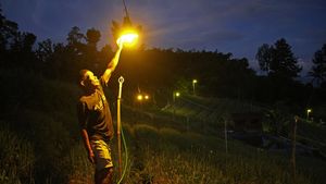 Elektrifikasi Pertanian, Hama Hilang Kebun Terang
